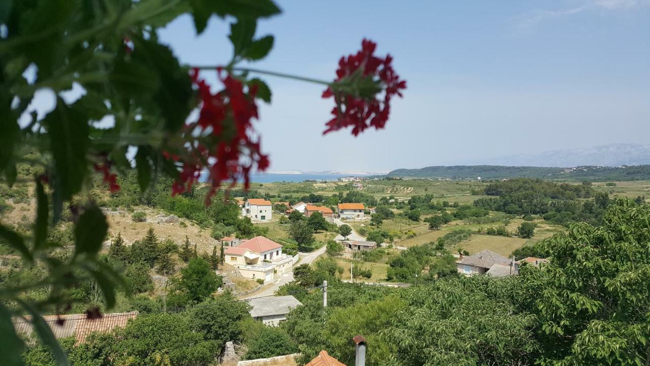 Apartment Cernesa Ražanac Buitenkant foto